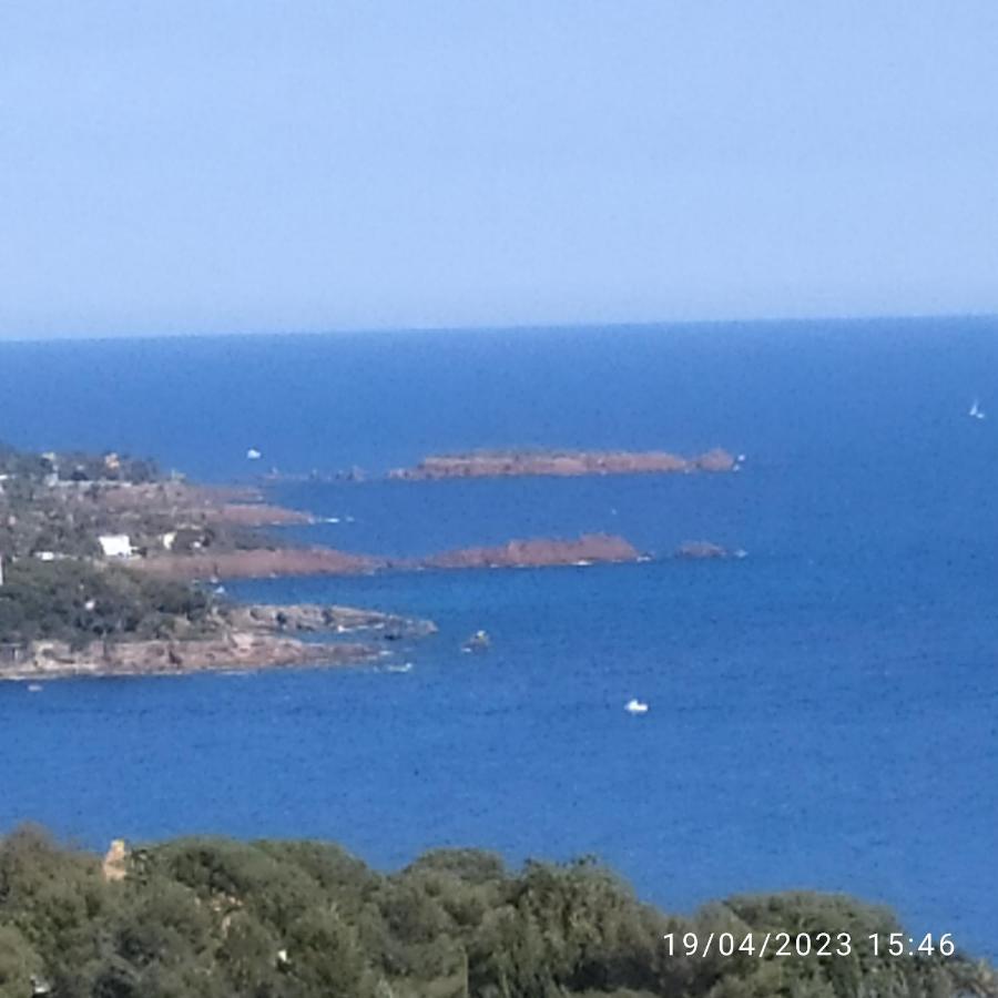 Studio 4P Vue Mer Calme Cap Esterel Saint-Raphaël Esterno foto