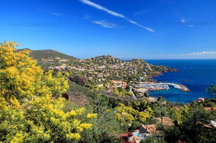 Studio 4P Vue Mer Calme Cap Esterel Saint-Raphaël Esterno foto